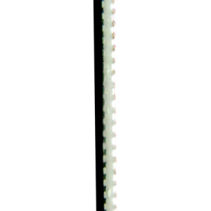 Correia Verde Sanitária 2,8mm espessura revestida lado superior e duas lonas
