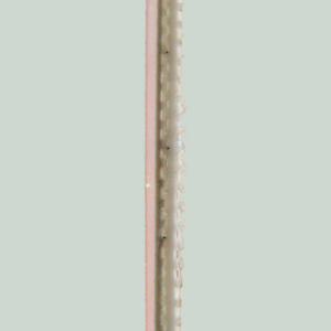 Correia Branca Sanitária 2,8mm espessura revestida lado superior e duas lonas